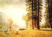 Albert Bierstadt Hetch Hetchy Valley Spain oil painting reproduction